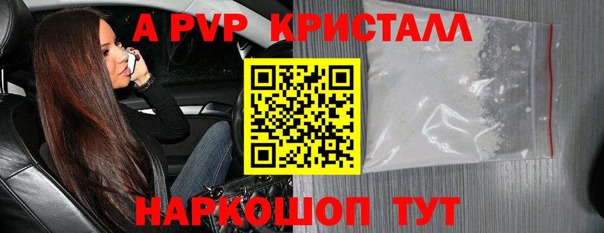 Alfa_PVP СК КРИС Саратов