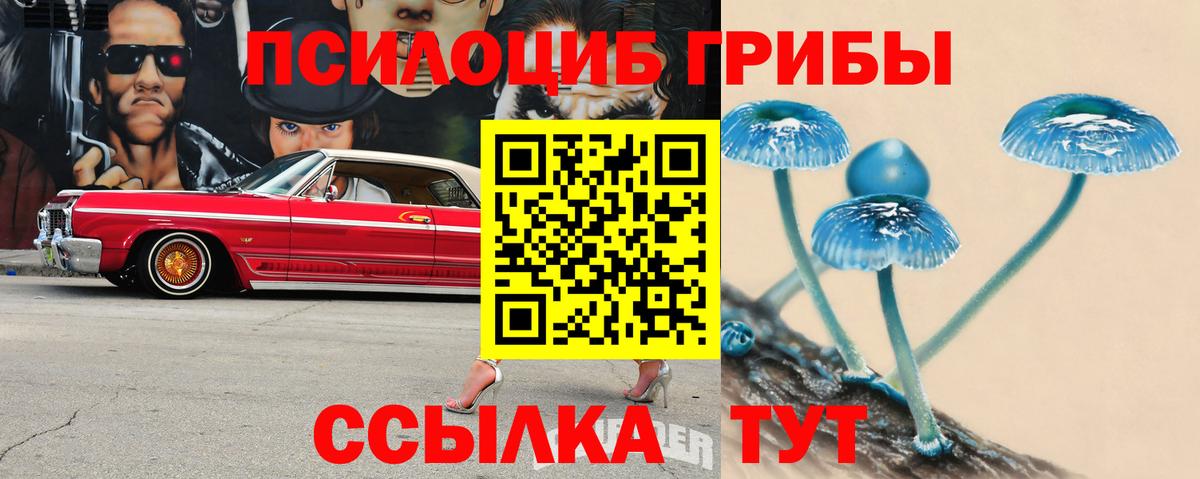 Галлюциногенные грибы GOLDEN TEACHER Саратов