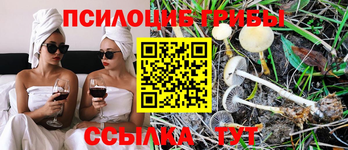 Псилоцибиновые грибы мицелий  как найти закладки  Саратов  Вход с VPN 